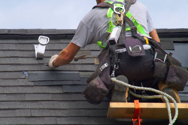 Best Roof Gutter Cleaning  in Giddings, TX